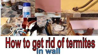 how to get rid of termites in wall | How To Kill Termites And Get Rid Of Them Forever