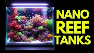 Here's What You NEED For A Successful Nano Reef Tank!