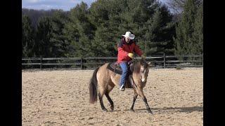 Balancing Your Horse in the Bridle (Episode 139) - Herm Gailey: A Lifetime with Horses