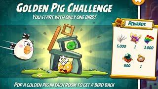 Angry birds 2 the golden pig challenge 29 dec 2024 with Matilda #ab2 the golden pig challenge today