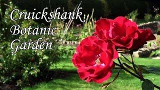 Cruickshank Botanic Garden: the feeling of the garden