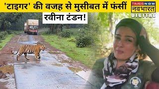 Tiger की वजह से क्या बढ़ सकती हैं Actress Raveena Tandon की मुश्किलें! | Bollywood News