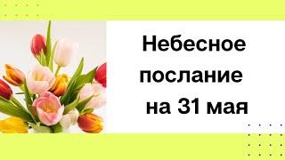 Небесное послание на 31 мая. Ваши оковы.