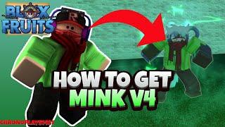 How to get Mink V4 (Full Guide Race V4) - Blox Fruits (Update 18)