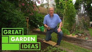 What to Plant In Your Garden This Autumn | GARDEN | Great Home Ideas