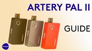 Artery PAL II Guide