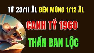 Tử vi tuổi Canh Tý 1960. Từ ngày 23 Tháng 11 Âm lịch đến ngày 1 tháng 12 Âm. Hậu vận có nhiều Tiền