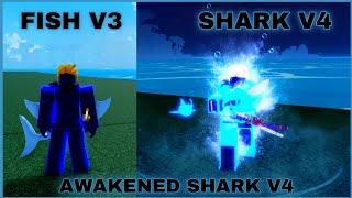 Getting Shark V4 with Full Upgrade ( Guild ) + Showcase In Blox Fruits