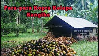 Kopra Kelapa - Sangihe || Keliling Sangihe Bersama Opo Kaka