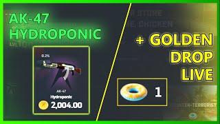 AK-47 Hydroponic PULL on CSGORoll + Golden drop while recording 