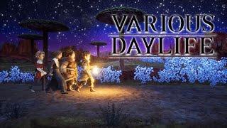 Various Daylife by SquareEnix (iOS Arcade Gameplay)