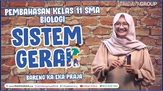 Kelas 11 SMA - Biologi - Sistem Gerak - Bimbel Tridaya Online