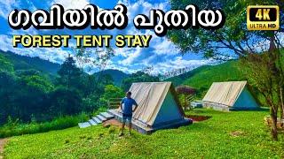 ഗവി കാടിനുള്ളിൽ പുതിയതായി തുടങ്ങിയ ടെന്റ് സ്റ്റേ  | Kochu Pamba Forest Tent Stay - Gavi | 4K UHD