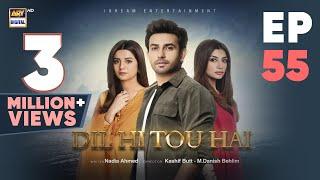 Dil Hi Tou Hai Episode 55 | Ali Ansari | Zoya Nasir | 1 Dec 2023 | ARY Digital