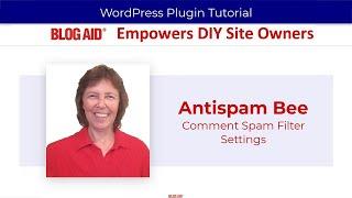 Antispam Bee Settings for Comment Spam Protection