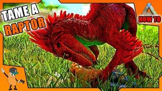 HOW TO TAME A RAPTOR IN ARK | Beginners Guide To Ark | [How To Ark]