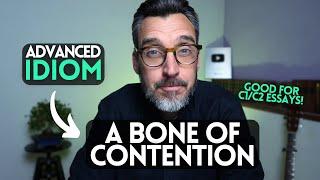 Advanced idiom for your essays: BONE OF CONTENTION - meaning and uses with examples.