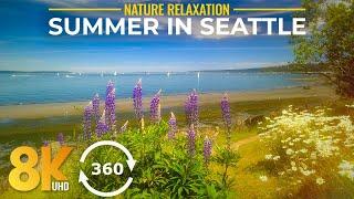 8K 360°VR Ocean Escape - Summer Day at Discovery Park, Seattle - Virtual Relaxation + Nature Sounds