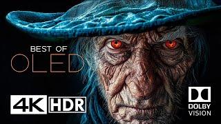 The Craziest OLED Test in 4K HDR 60FPS - Dolby Vision