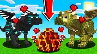 How to BREED *NEW* DRAGONS in Minecraft!