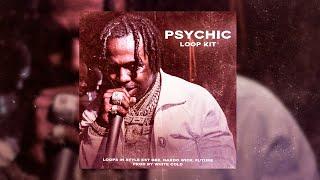 EST Gee Loop Kit "Psychic" (EST Gee, Nardo Wick, Future, G Herbo, Moneybagg Yo)