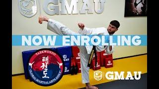 Global Martial Arts University Taekwondo Course - Learn and Earn Rank at Home