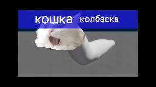 кошка колбаска