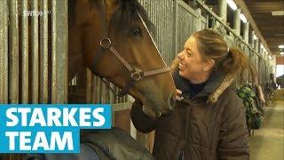 Geistig behindertes Pferd Capi vorm Einschläfern gerettet - Tina kämpft für ihr Pferd