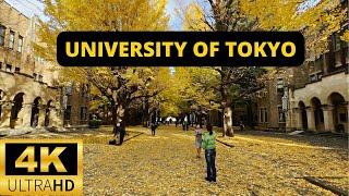 TOKYO, JAPAN  [4K] UNIVERSITY OF TOKYO — Autumn Walking Tour