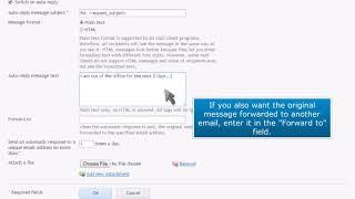 Plesk: How to Enable Auto-reply for an Email Account