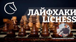 Как учиться играть в шахматы на платформе lichess: возможности, о которых многие не знают