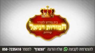 הרב חיים אלוש - מה מיוחד כ"כ בנמלה?!