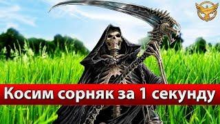 Black Desert – Лучший спот для сбора | Гайды Black Desert