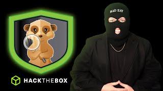 HackTheBox Sherlock Sunday Live | Kali LinuxTrain with Mad Hat