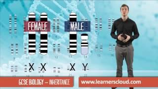 Inheritance: GCSE Biology