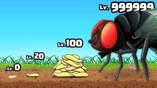 GROWING a MAX LEVEL MAGGOT INSECT in Idle Maggots