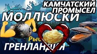 Камчатский промысел Моллюски -Мускулас, Сердцевидка, Мидия / РР3 [ Русская рыбалка 3.9 Гренландия]