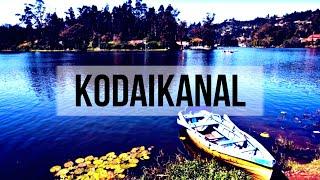 Places To Visit In Kodaikanal | Kodaikanal Tourist Places | Trip | Dindigul District | Tourist தமிழா