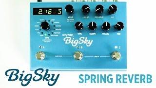 Strymon BigSky - Spring Reverb machine audio demo