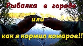 Ловля карася в городе на озере маховым удилищем. Май 2018. Рыбалка в городе.