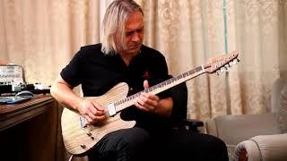 Robben Ford - Talk To Your Daughter - Solo Cover by Dmitry Andrianov