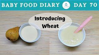 Baby Food Diary | Day 70 | Wheat Porridge Recipe For Baby | 8m+