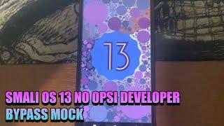 SMALI OS ANDROID 13 BYPASS MOCK NO OPSI DEVELOPER