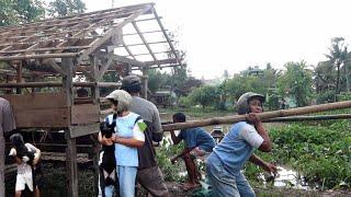 Giliran Kang Asep yg kalang kabut!! gotong royong warga ciaur sebelum kena gusur