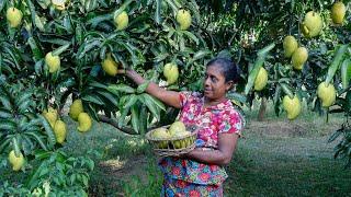 A delicious tea time snack / I made mango sweet balls and mango pudding .village kitchen recipe