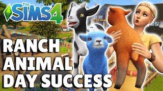 How To Throw A Successful [Gold Medal] Ranch Animal Day | The Sims 4 Horse Ranch Guide