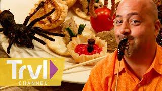 Eating a Plate FULL of Bugs | Bizarre Foods with Andrew Zimmern | Travel Channel