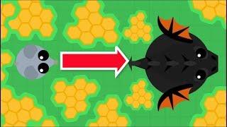 Mope.io // MOUSE TO BLACK DRAGON WITH HONEYCOMBS FOOD // Mope.io Beta run
