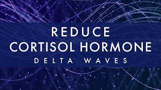 Reduce Cortisol Hormone Levels  Delta Waves  Stress and Anxiety Relief  Sleep Music