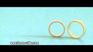 Funny Wedding Rings Toronto Wedding Cinematographer Digital Cinematography